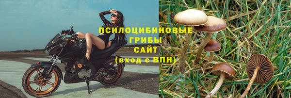 эйфоретик Абдулино