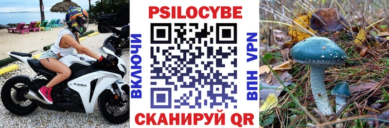 Псилоцибиновые грибы GOLDEN TEACHER  shop какой сайт  Тимашёвск 